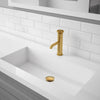 Ancona Bathroom Sink Pop-Up Drain in Brushed Titanium Gold