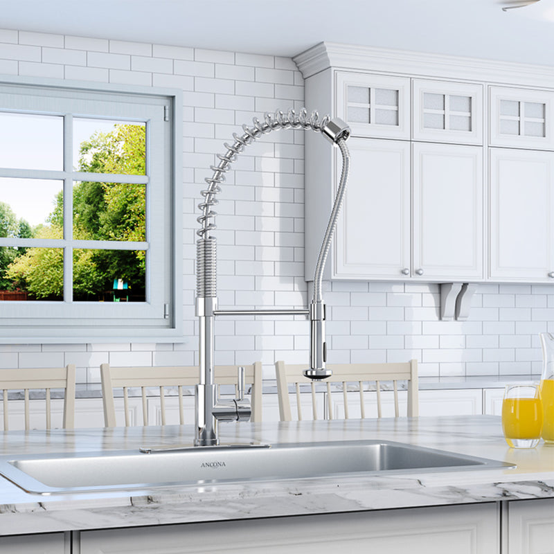 Le Bistro Pull-down Kitchen Faucet