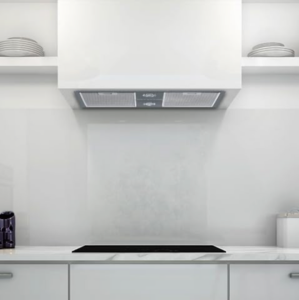 30" Built-in range hood