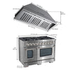 Ancona 2-piece 48” Gas Range with Convection Oven and 600 CFM Ducted Insert Range Hood Kitchen Pair