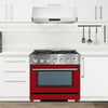 Ancona 2-piece Kitchen Package with 36" Gas Range with Matte Red Door and 650 CFM Undercabinet Range Hood with Night Light