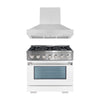 Ancona 2-piece Kitchen Appliance Package with 36" Dual Fuel Range and 600 CFM Wall-Mounted Range Hood in White and Stainless