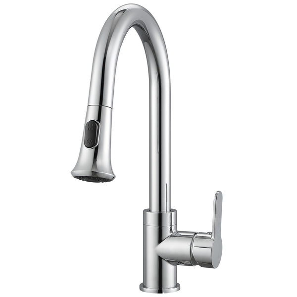 Rivella Pull-Down Single Handle Dual Spray Faucet in Chrome
