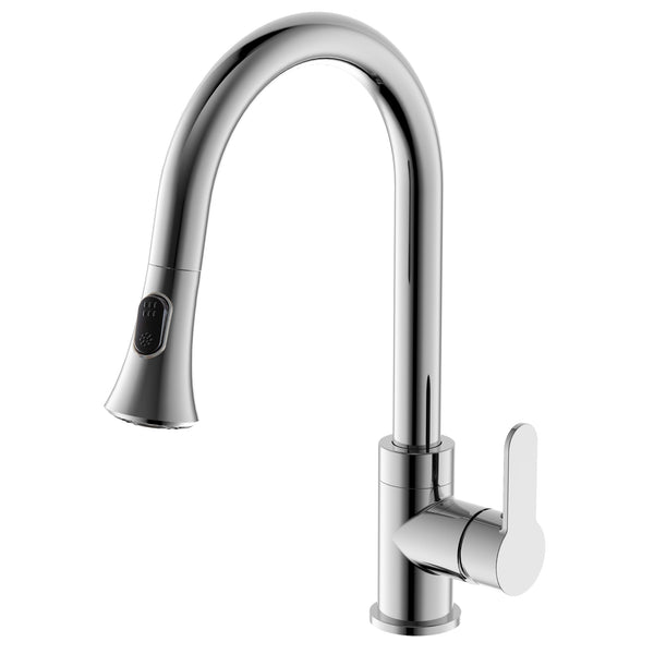 Rivella Pull-Down Single Handle Dual Spray Faucet in Chrome