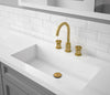 Ancona Nova Series Widespread Bathroom Faucet in Brushed Titanium Gold
