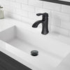 Ancona Bathroom Sink Pop-Up Drain in Black Oil Rubbed Bronze
