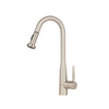 Signature II Pull Out Single Handle Bar Kitchen Faucet